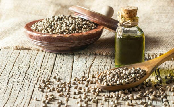 تصویر 2 از قیمت تخم گشنیز تازه + خرید باور نکردنی